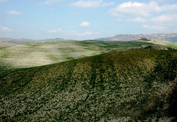 Volterra